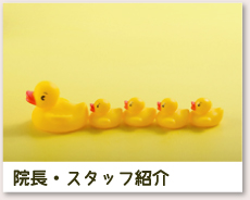 スタッフ紹介
